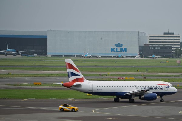 Comment organiser une expédition pour observer les gorilles de montagne en Ouganda?