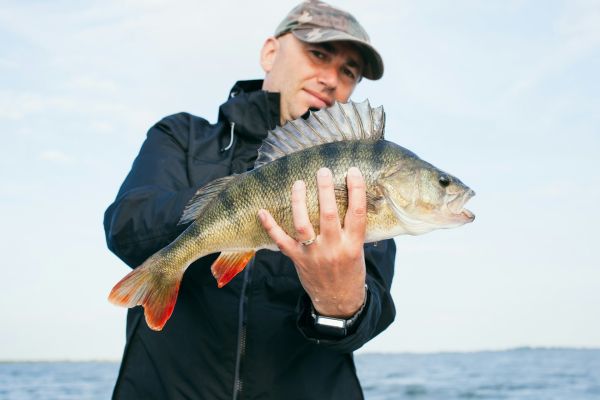 Quels sont les meilleurs endroits pour une expérience de pêcherie traditionnelle au Québec?