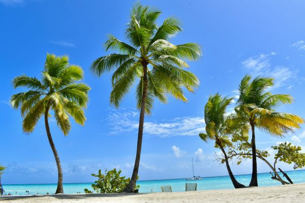 Séjour à Cuba : conseils et astuces pour un voyage réussi