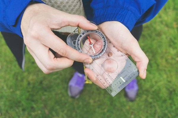 Comment organiser un voyage pour observer les requins-baleines en pleine migration?