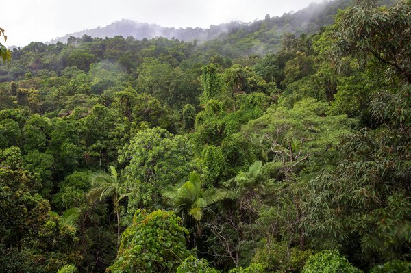 Quels sont les meilleurs itinéraires pour une randonnée en forêt tropicale au Costa Rica?